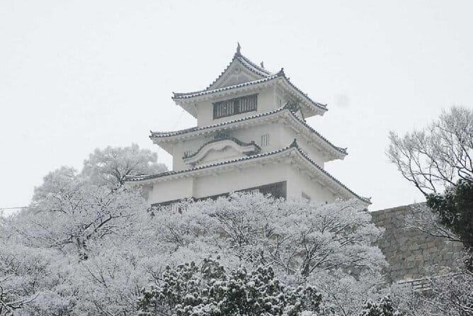 8 Day Private One Way Bus Tour to Fukuoka from Osaka - The Sum Up