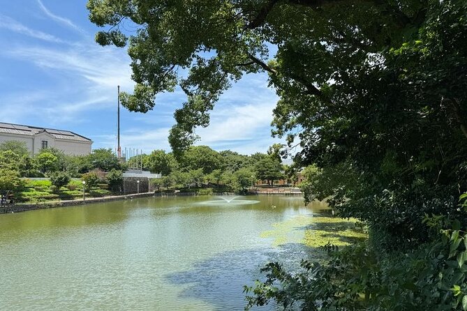 Customized Osaka Private Tour with Local Guide - What’s Included and What’s Not?