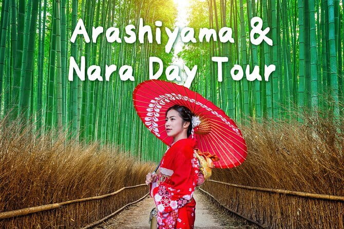 Himeji Castle and Akashi Kaikyo Bridge Walking Tour from Osaka - Who Will Love This Tour?