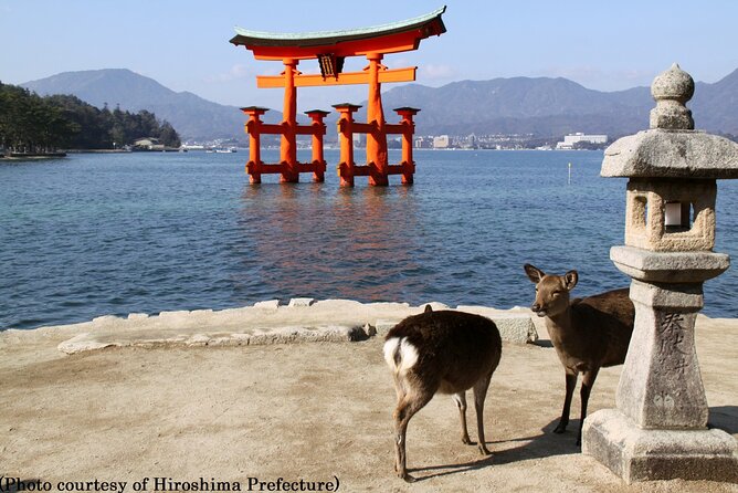 1 Day Hiroshima and Miyajima Tour by Bullet Train from Osaka - Food and Dining