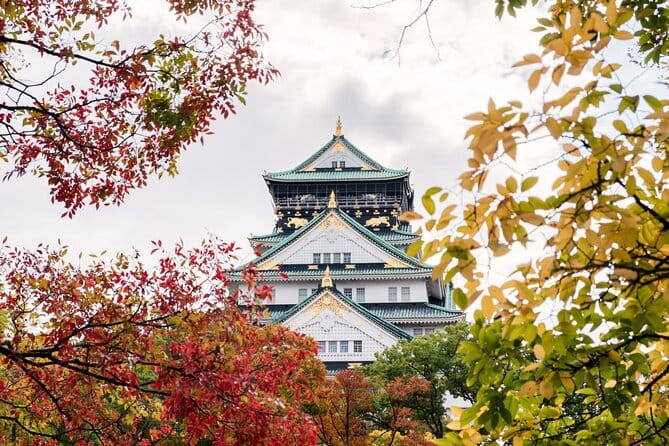 From Osaka,Amanohashidate and Ine Bay Day Trip - Authentic Experiences and Practical Tips