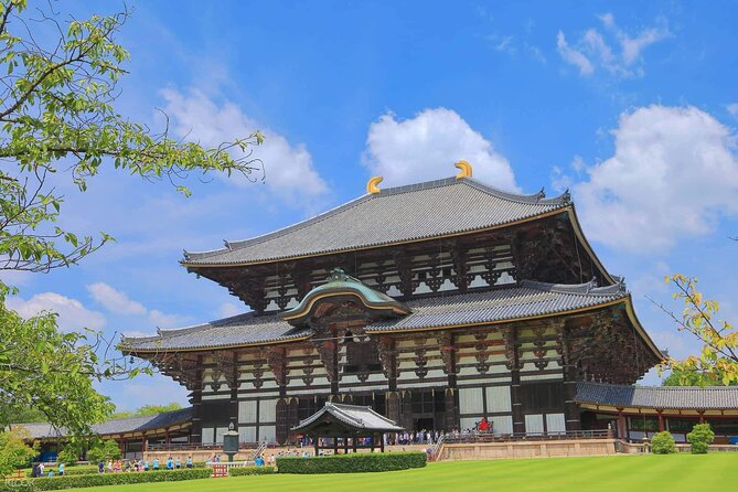 Nara, Todaiji Temple and Kuroshio Market One Day Tour from Osaka - Key Points