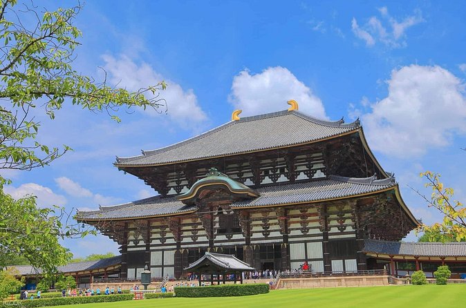 Nara, Todaiji Temple and Kuroshio Market One Day Tour from Osaka - The Sum Up: Who Will Love This Tour?