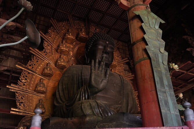 Nara Early Morning Tour (Osaka Departure Option) - Good To Know