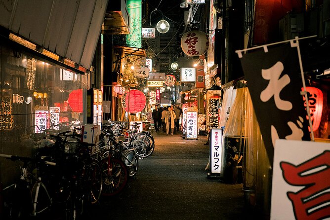 Osaka Half Day Walking Tour with an Expert Local Guide - Who Should Consider This Tour?