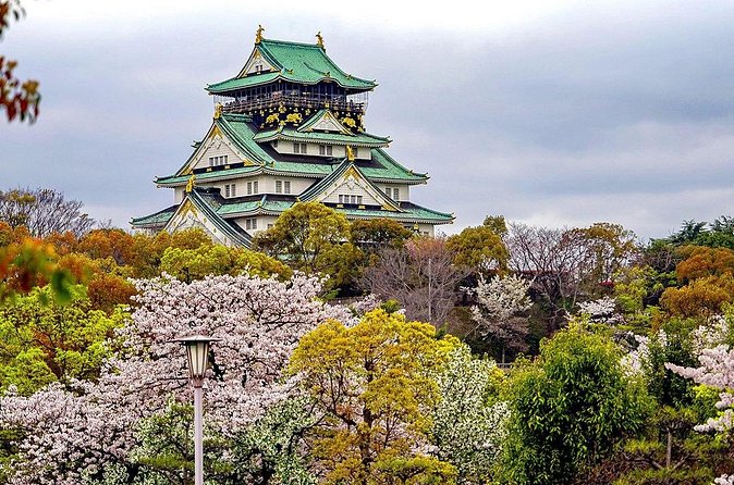 Osaka Half Day Walking Tour with an Expert Local Guide - Authentic Experiences Based on Reviews