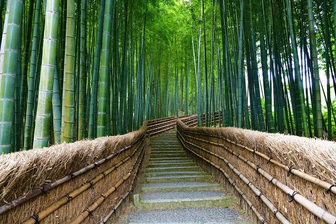 Kyoto and Miyama Full Day Tour from Osaka - Transportation and Overall Value