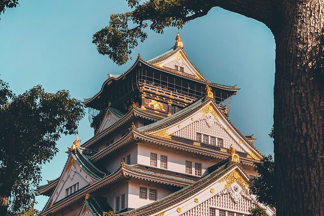 Osaka Private Hightlights Tour Customizable & English Driver - Authentic Experiences and Practical Details