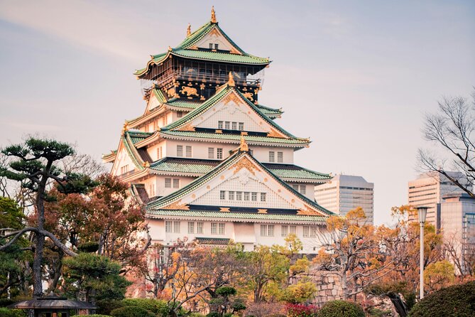 Osaka Private Hightlights Tour Customizable & English Driver - Exploring Osaka with a Private, Customizable Tour: An Honest Review