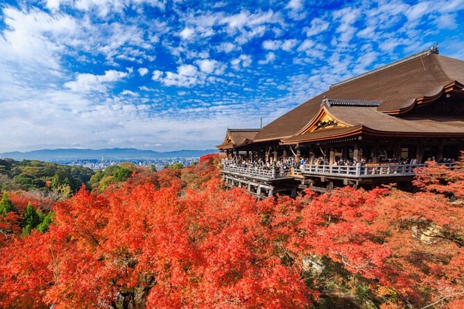 Osaka / Kyoto: Kinkaku-ji, Kiyomizu-dera Temple, Sannenzaka & Uji - What Makes This Tour Stand Out?