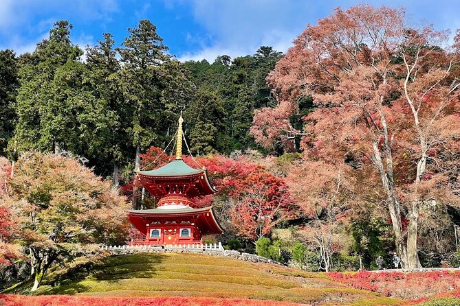 Osaka / Kyoto: Katsuoji, Arashiyama & Kinkaku-ji One Day Tour - Practical Aspects and Value