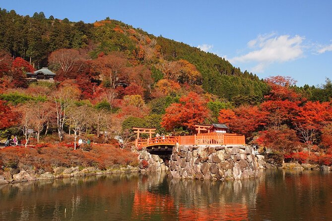 Osaka / Kyoto: Katsuoji, Arashiyama & Kinkaku-ji One Day Tour - Who Should Consider This Tour?