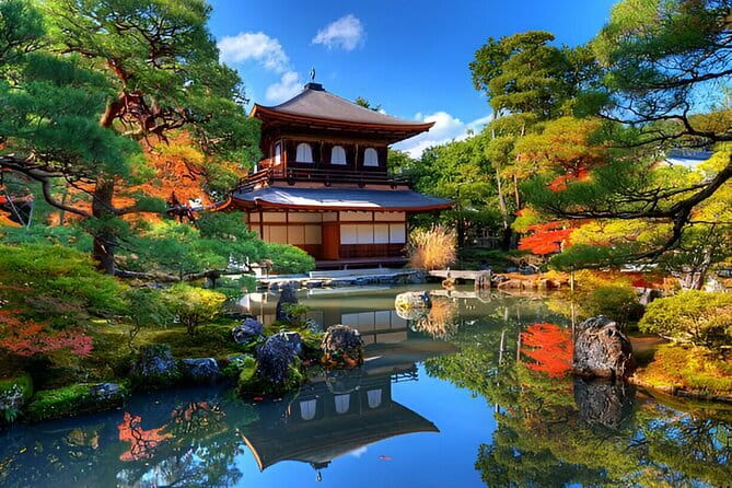 Kyoto & Nara Private Day Tour - Transportation & Overall Value