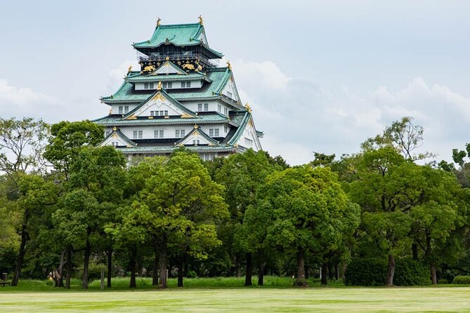 Tour Famous Spots in Osaka by Private Car - Who Will Love This Tour?
