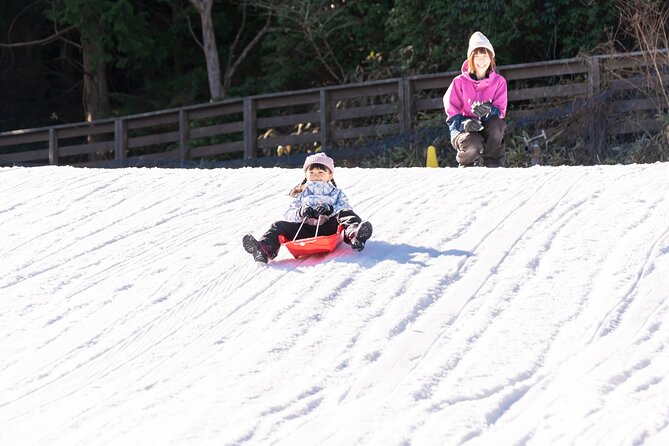 Rokko Snow Park Winter Ski and Arima Onsen Day Tour from Osaka - How Worth It Is the Price?