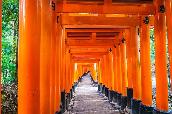 Kyoto Tour at Nara Park, Arashiyama and Fushimi Inari Shrine - Analyzing the Cost and Value