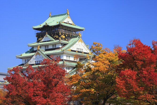 Osaka: Osaka Castle & Dotonbori Private Tour From Osaka Port - The Value of a Private, Customizable Tour