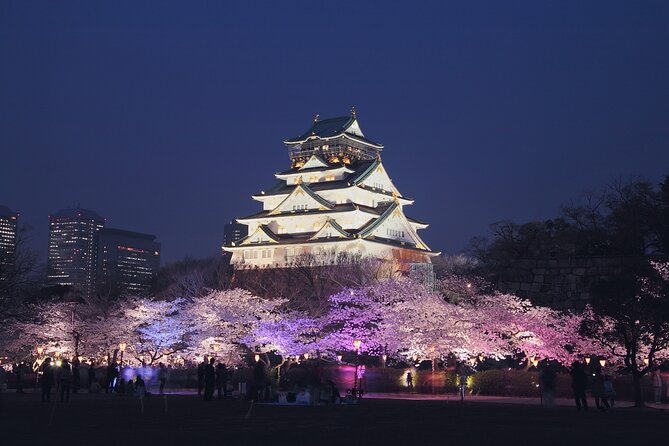 Osaka: Osaka Castle & Dotonbori Private Tour From Osaka Port - A Practical Guide to the Osaka Private Tour