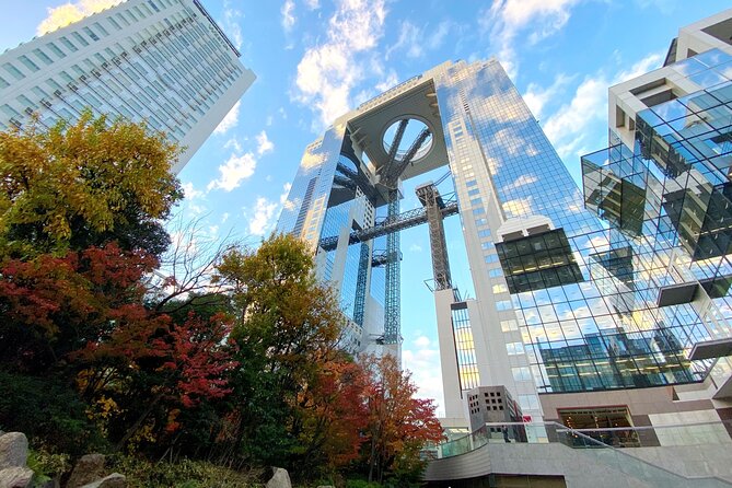 Osaka: Osaka Castle & Dotonbori Private Tour From Osaka Port - Who Will Love This Tour?