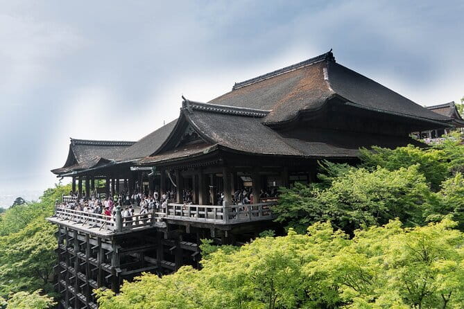 Discover Himeji, Kobe and Nara from Osaka - What Past Travelers Say