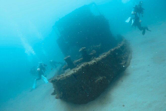 Trial diving tour that even inexperienced people can enjoy safely - An In-Depth Look at the Trial Diving Experience in Osaka
