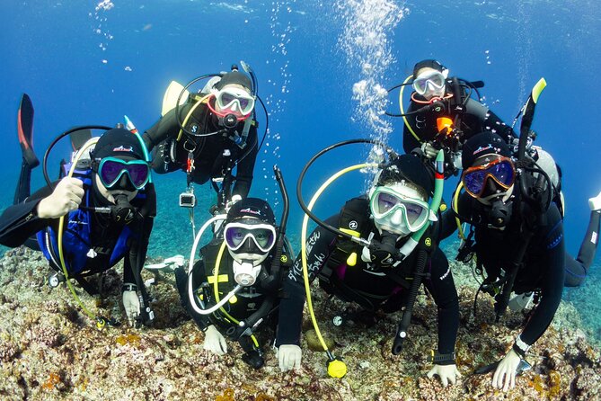 Trial diving tour that even inexperienced people can enjoy safely - Discover the Joy of Diving in Osaka: A Beginner-Friendly Trial Tour