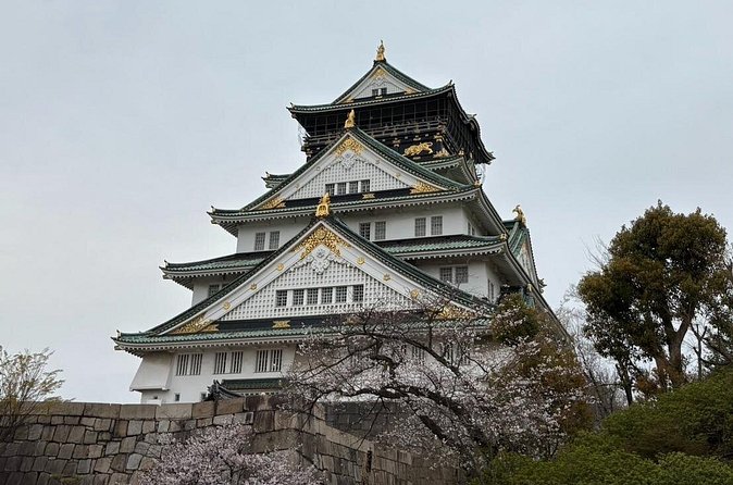 Osaka City Walking Tour - Frequently Asked Questions