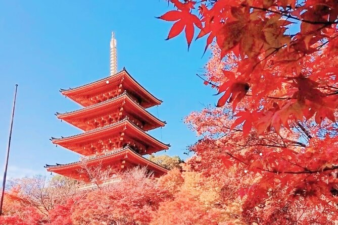 Osaka/Kyoto: Amanohashidate, Ine Bay & Nariaiji Bus Tour w/ Lunch - Key Points