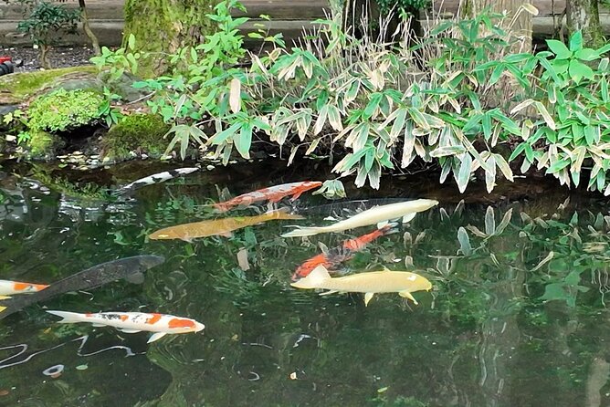 Ise Jingu Shrine Pilgrimage and Meoto Iwa Bus Tour - Authentic Experiences and Practical Tips