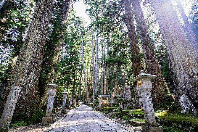 Koyasan Day Trip by Private Car from Osaka - A Deep Dive into the Koyasan Day Trip