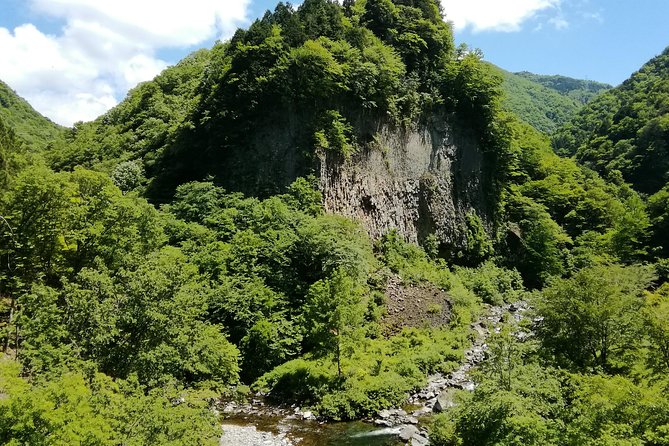 Watefall Visit Hiking in Hida-Osaka - Itinerary Details