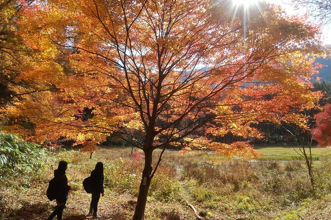 Watefall Visit Hiking in Hida-Osaka - Pickup Information