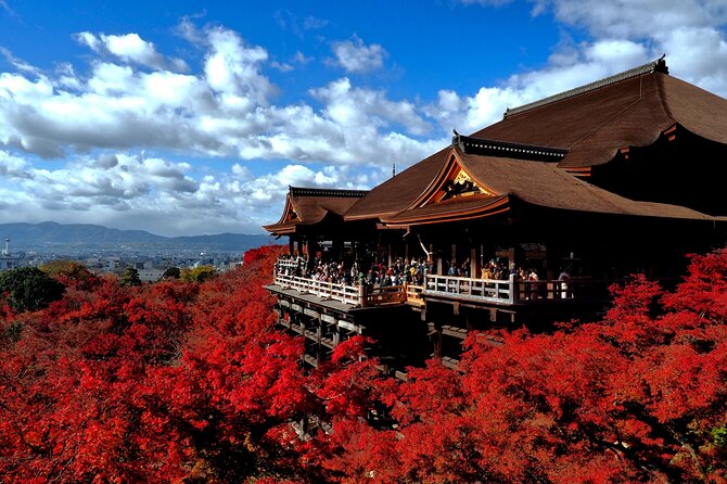 1 Day Kyoto UNESCO World Heritage Sites Bus Tour - Key Points
