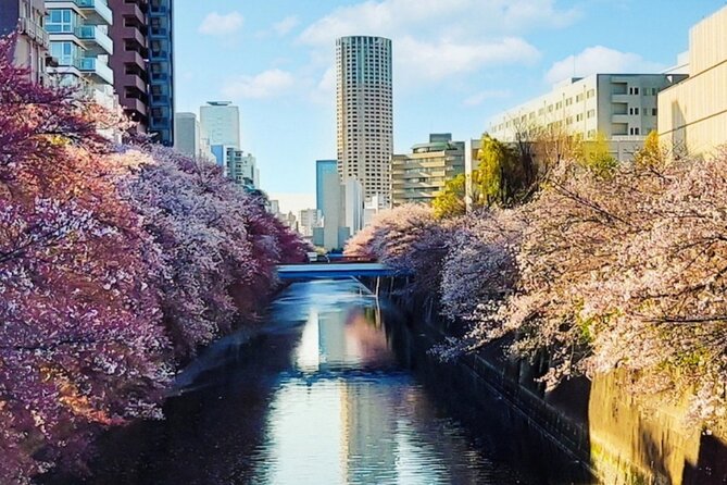 Licensed Guide Tokyo Meguro Cherry Blossom Walking Tour - An Authentic Look at Tokyo’s Cherry Blossoms and Cultural Gems