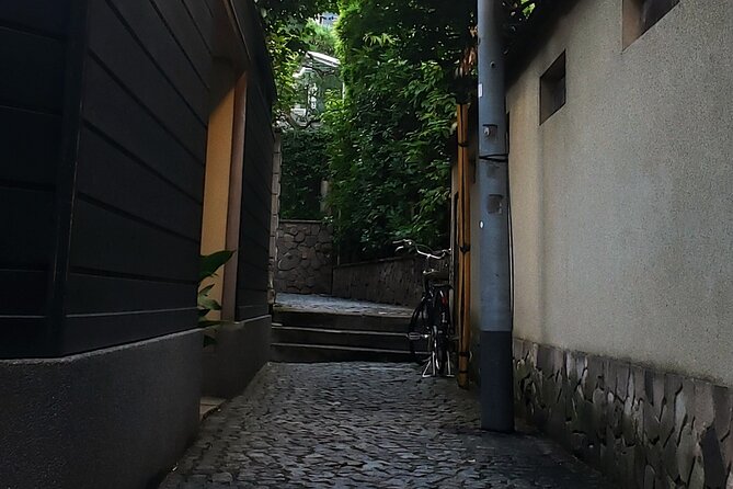 Tokyo Private Art Tour in Kagurazaka Shinjuku with Licensed Guide - Key Points