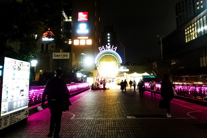 Tokyo Private Art Tour in Kagurazaka Shinjuku with Licensed Guide - Authentic Experiences and Honest Reviews