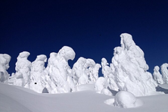 2-Day Zao Snow Monsters Light-Up and Onsen Tour from Tokyo - What to Expect from the 2-Day Zao Snow Monsters Tour