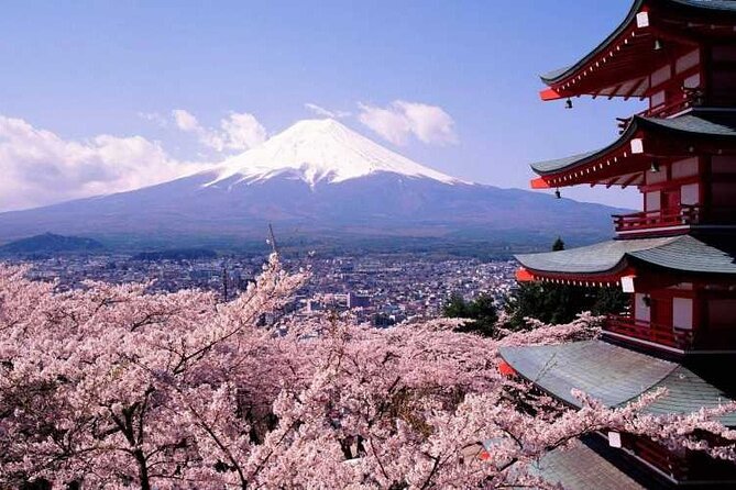 One day tour to Mount Fuji's popular attractions - A Detailed Look at the Mount Fuji Day Tour