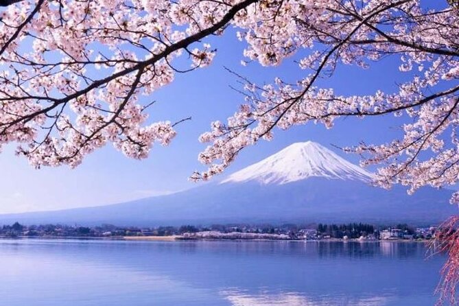 One day tour to Mount Fuji's popular attractions - One Day Tour to Mount Fujis Popular Attractions