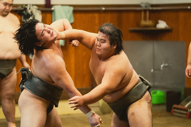 Sumo Wrestlers Morning Practice Tour  Tokyo Sumida District - Key Points