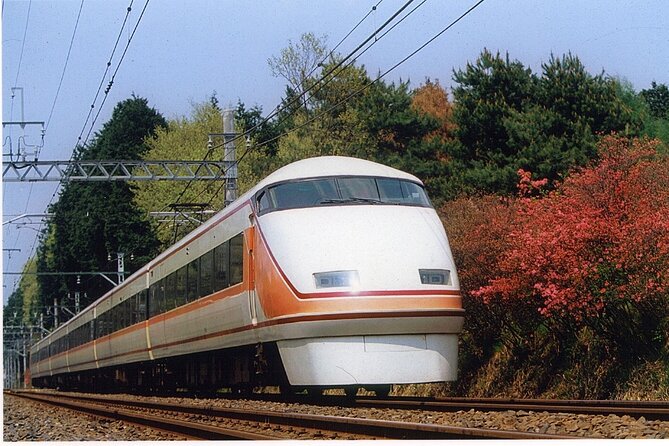 From Tokyo to Nikko: Limited Express Tickets with Souvenir - Authentic Experience with No Guide, No Pressure