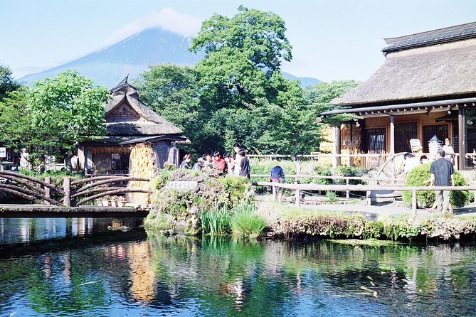 Barrier-Free Private Mt. Fuji Tour for Wheelchair Users - Who Is This Tour Perfect For?