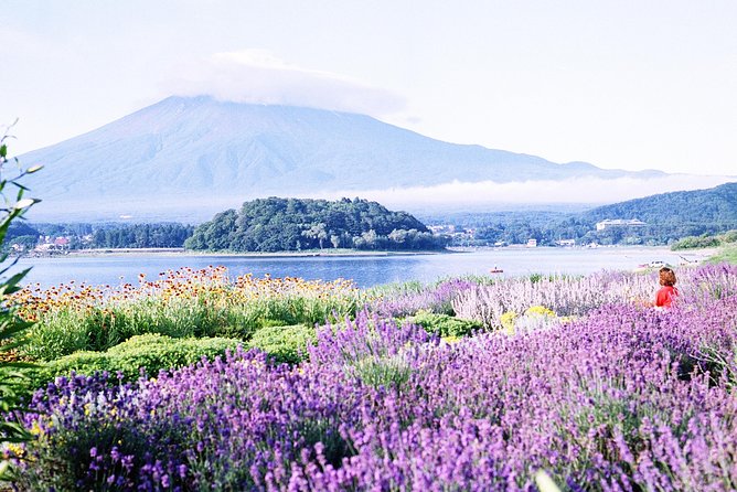 Barrier-Free Private Mt. Fuji Tour for Wheelchair Users - Key Points