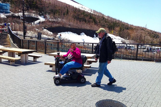 Barrier-Free Private Mt. Fuji Tour for Wheelchair Users - In The Sum Up
