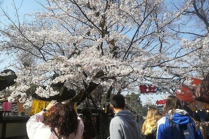 Cherry Blossom highlights, Asakusa, Ueno, Imperial Palace Garden - Who Should Book This Tour?