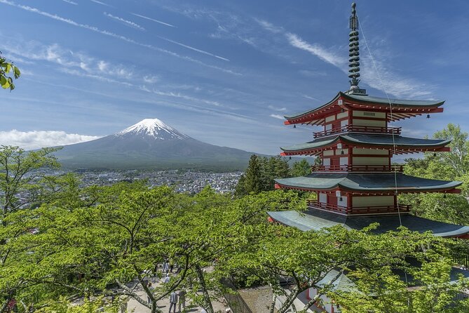 Private Mount Fuji Tour - up to 9 Travelers - FAQ
