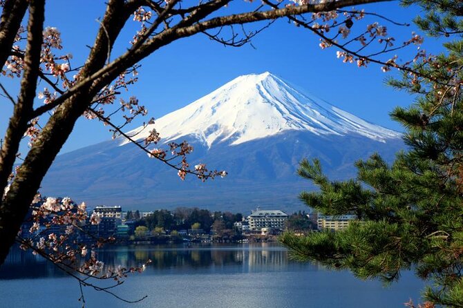 Private Unforgettable Mt Fuji Tour with English Speaking Driver - Key Points