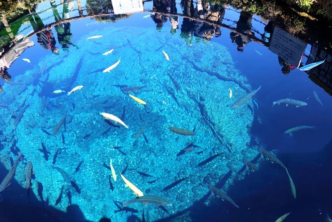 Mt. Fuji Panoramic Ropeway, Oshino Hakkai & Sightseeing Day Tour - Key Points