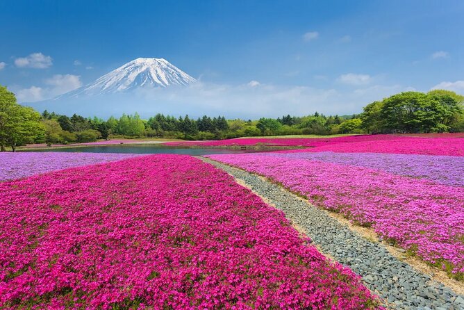 Mt Fuji Lake Kawaguchi and Yamanakako Onsen Tour from Tokyo - Exploring Mount Fuji and Yamanakako Onsen from Tokyo: A Detailed Review