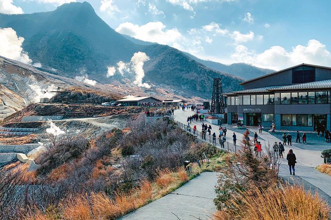 Hakone Private Two Day Tour from Tokyo with Overnight Stay in Ryokan - Exploring Hakone in Comfort: A Two-Day Private Tour from Tokyo